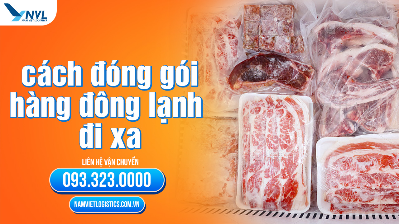 Nam Việt Logistics