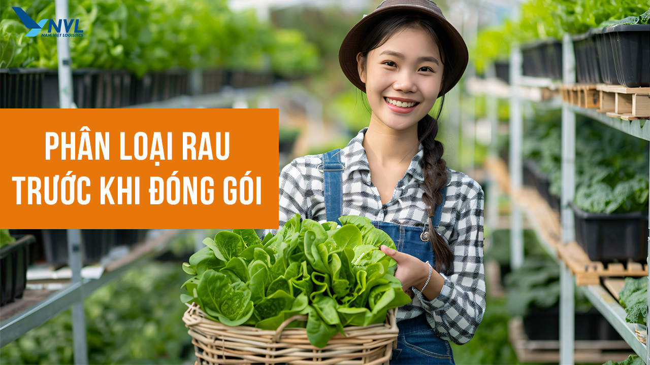 Cách đóng gói rau củ quả đi xa - NVL