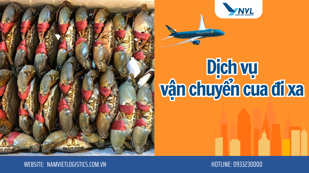Vận chuyển hải sản tươi sống cua biển đi xa