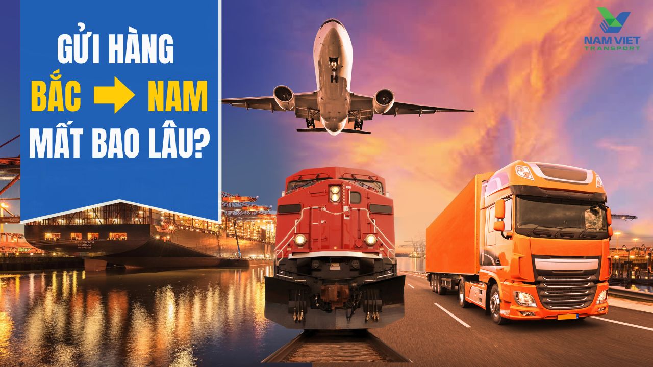 Nam Việt Logistics