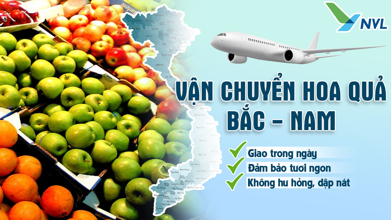Vận chuyển hoa quả từ hà nội vào sài gòn