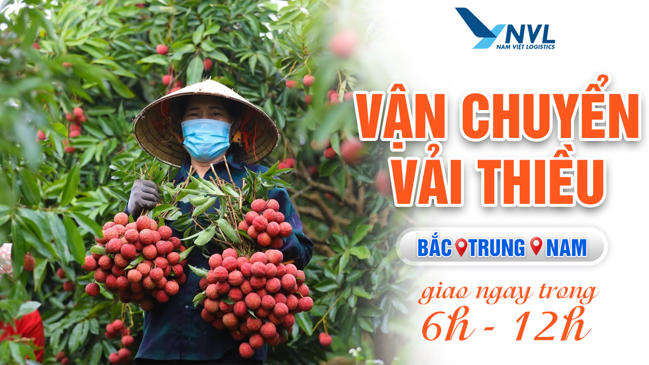 Nam Việt Logistics